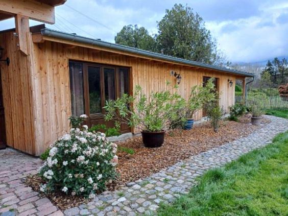 Les Cottages Du Chateau De Werde Matzenheim Dış mekan fotoğraf